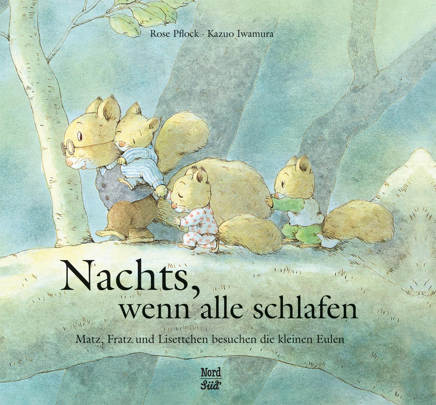 Cover: 9783314017766 | Nachts, wenn alle schlafen | Rose Pflock | Buch | Hörnchen | 32 S.