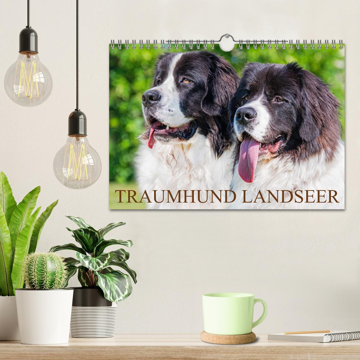 Bild: 9783383859618 | Traumhund Landseer (Wandkalender 2025 DIN A4 quer), CALVENDO...