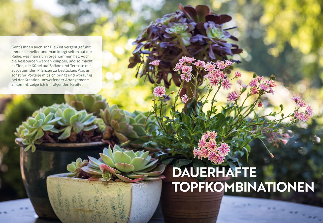 Bild: 9783818623845 | Mein Garten wächst im Topf | Annette Lepple | Taschenbuch | 144 S.