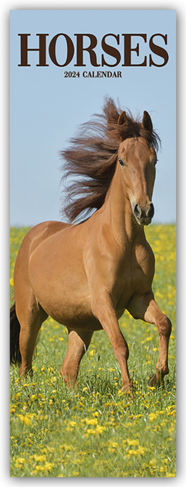 Cover: 9781804602317 | Horses - Pferde 2024 | Avonside Publishing Ltd | Kalender | 14 S.