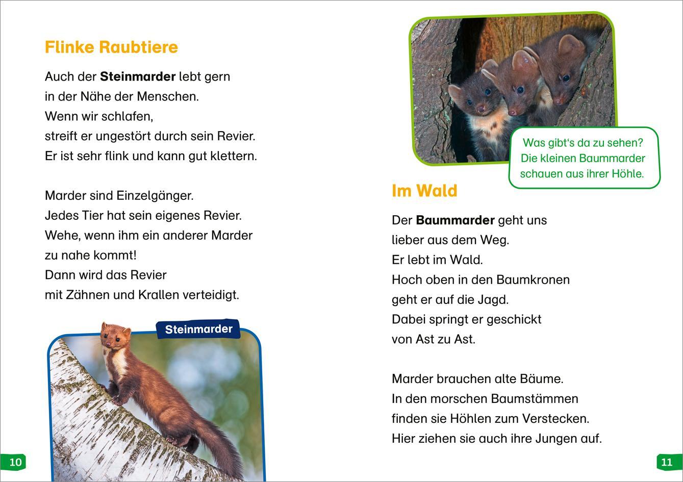 Bild: 9783788677350 | WAS IST WAS Erstes Lesen easy! Band 17. Tiere in der Nacht | Buch