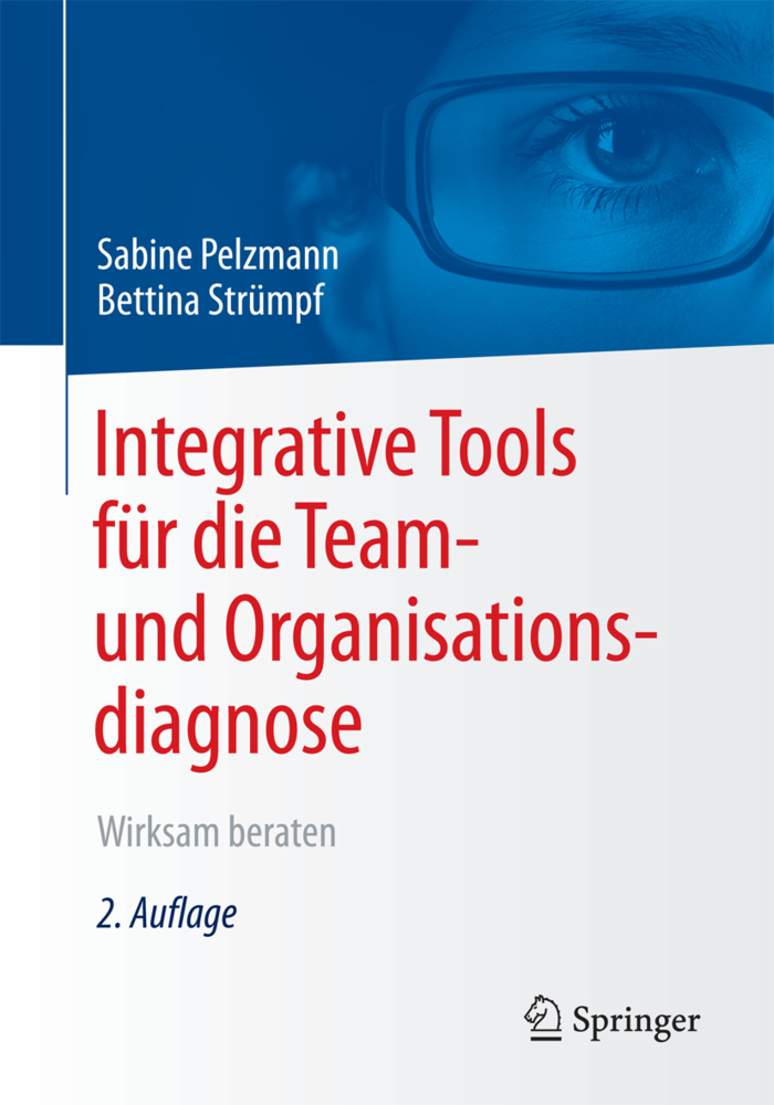 Cover: 9783658198305 | Integrative Tools für die Team- und Organisationsdiagnose | Buch