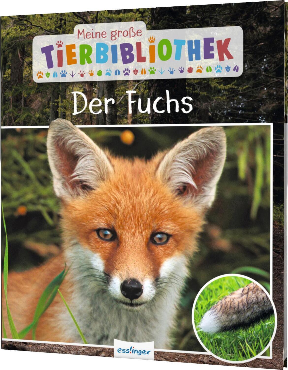 Cover: 9783480236565 | Meine große Tierbibliothek: Der Fuchs | Christian Havard | Buch | 2020