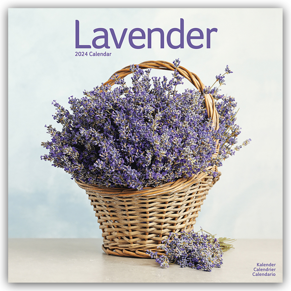 Cover: 9781804601785 | Lavender - Lavendel 2024 - 16-Monatskalender | Avonside Publishing