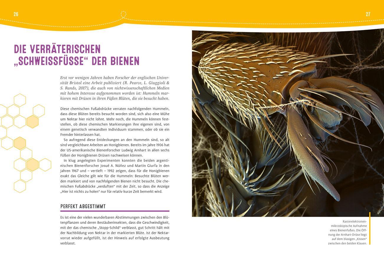 Bild: 9783818620837 | Auch Bienen haben Schweißfüße | Jürgen Tautz | Buch | 144 S. | Deutsch