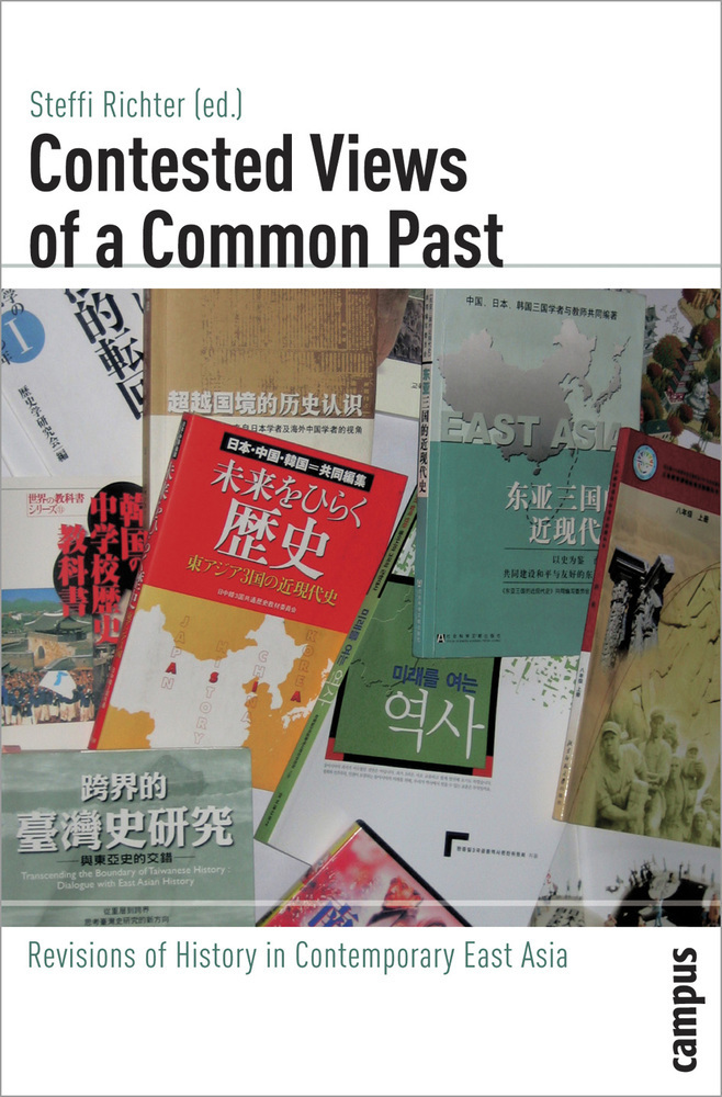 Cover: 9783593385488 | Contested Views of a Common Past | Steffi Richter | Taschenbuch | 2008