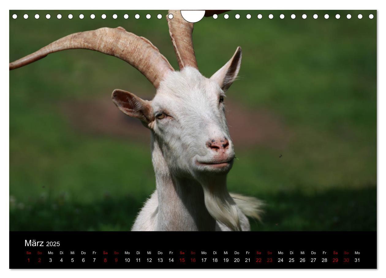 Bild: 9783435394340 | Eulhof (Wandkalender 2025 DIN A4 quer), CALVENDO Monatskalender | 2025