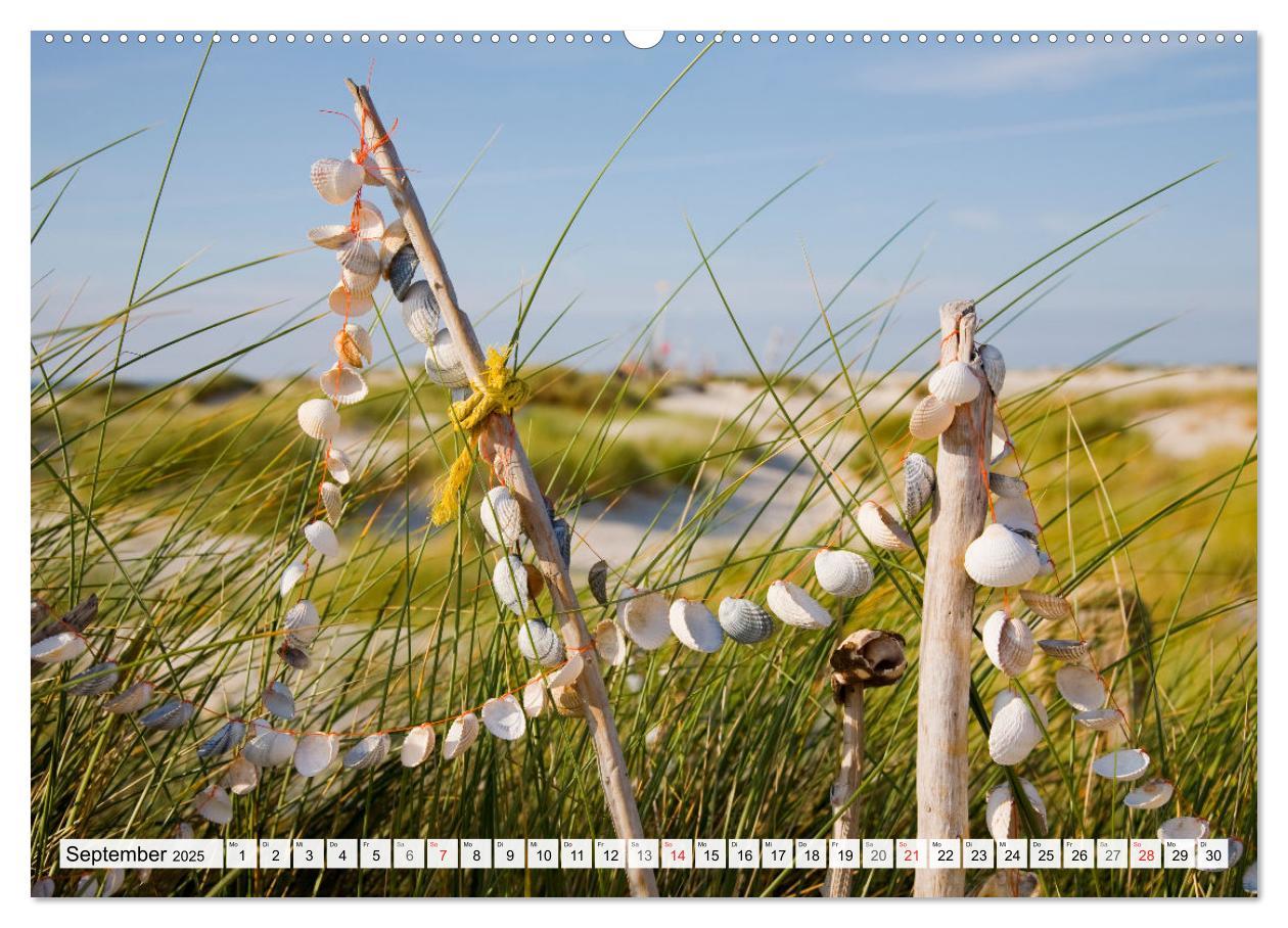 Bild: 9783435617586 | Amrum. Natur und Landschaften (Wandkalender 2025 DIN A2 quer),...