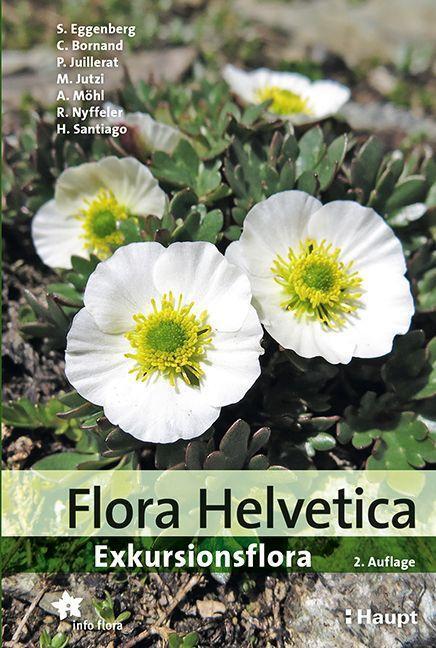 Cover: 9783258082820 | Flora Helvetica - Exkursionsflora | Stefan Eggenberg (u. a.) | Buch