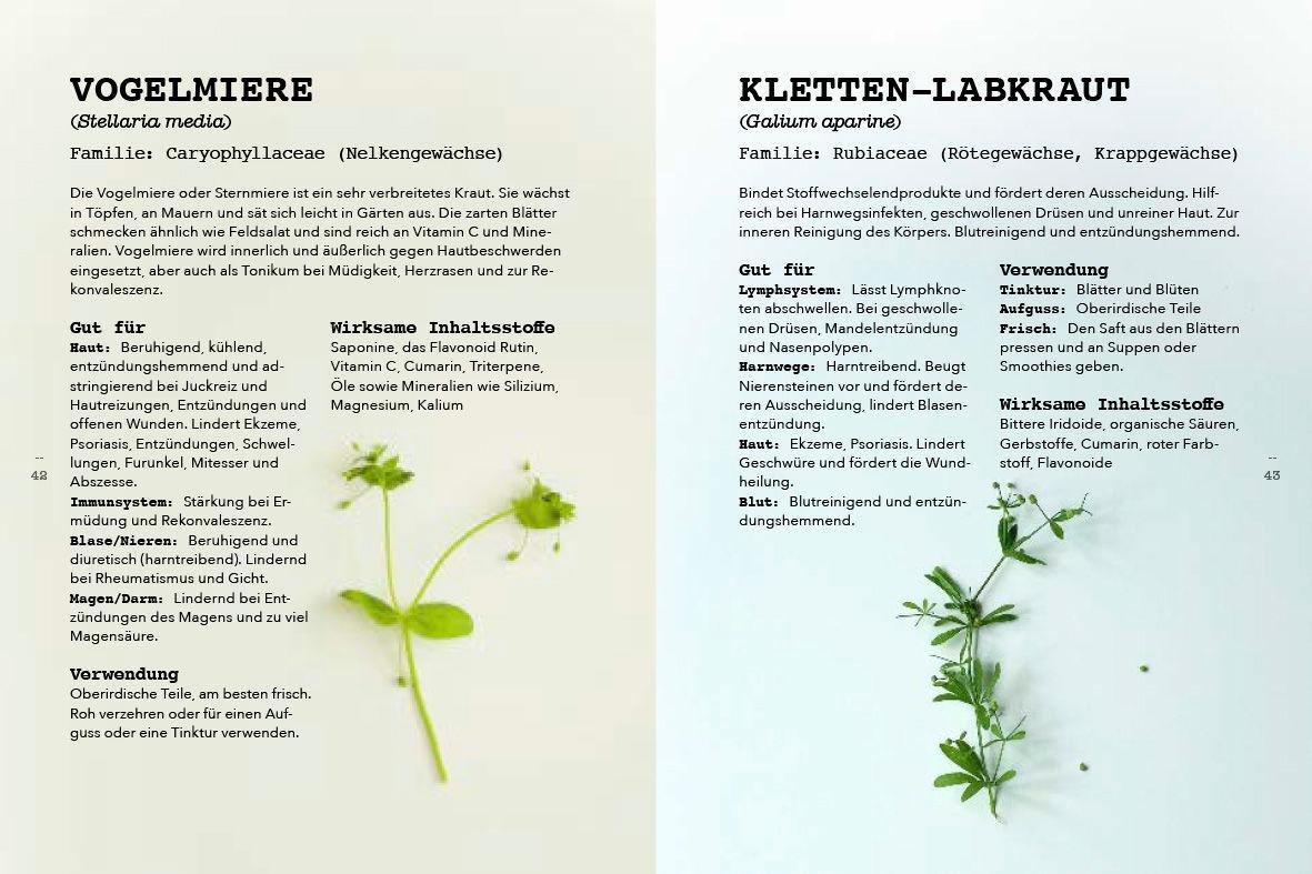 Bild: 9783517100821 | Pflanzen als Medizin | Das Handbuch für die Natur-Apotheke | Bontje
