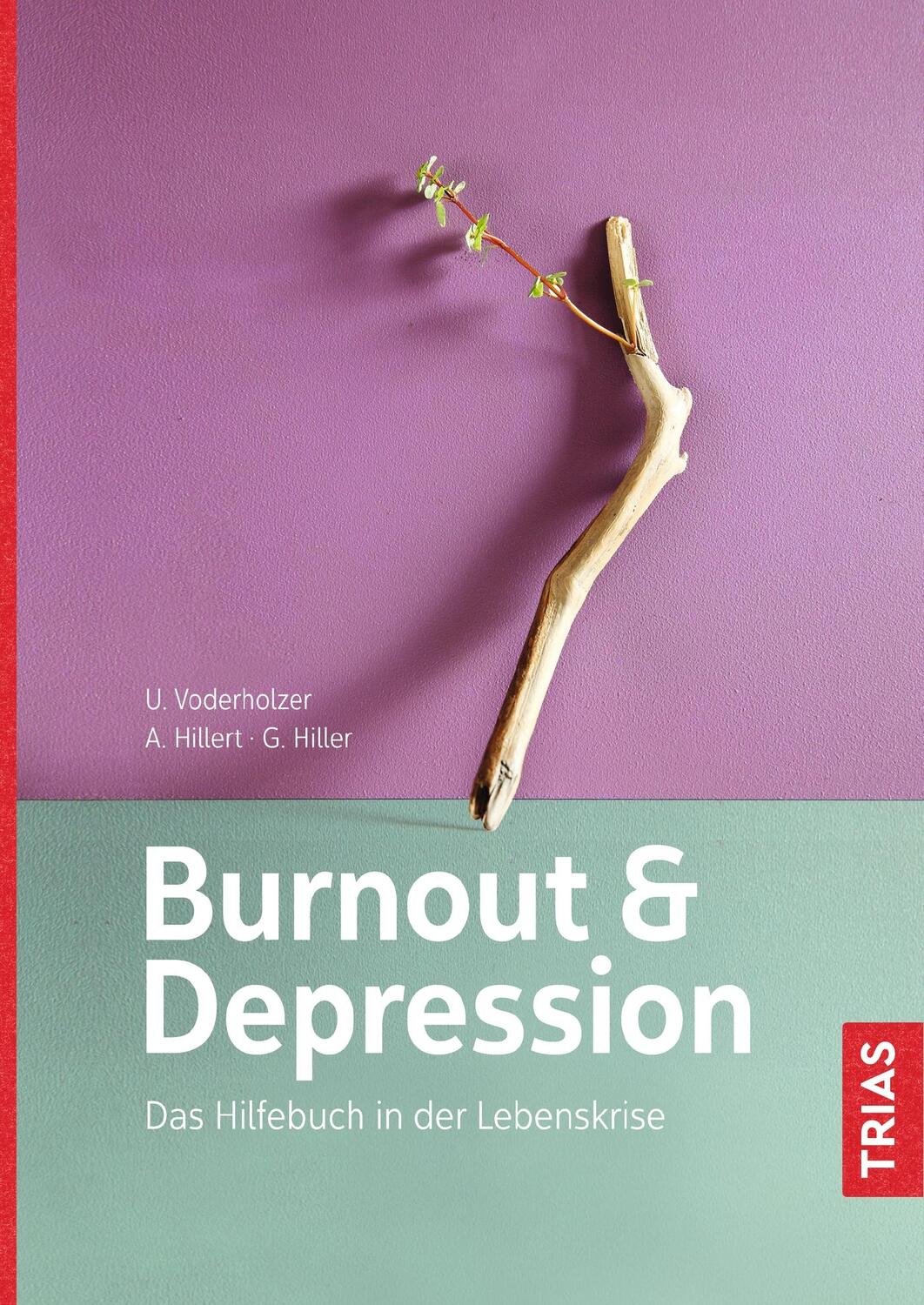 Cover: 9783432103334 | Burnout &amp; Depression | Das Hilfebuch in der Lebenskrise | Taschenbuch