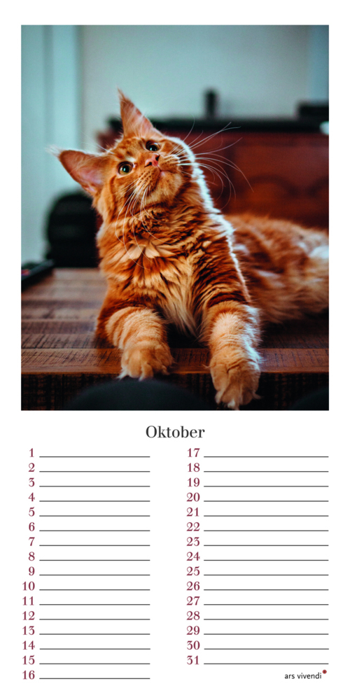 Bild: 9783747203958 | Geburtstagskalender Katzen | Immerwährender Kalender | Verlag | 12 S.