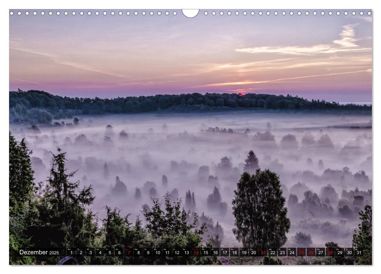 Bild: 9783383963711 | Die Lüneburger Heide - Faszination einer Naturlandschaft...