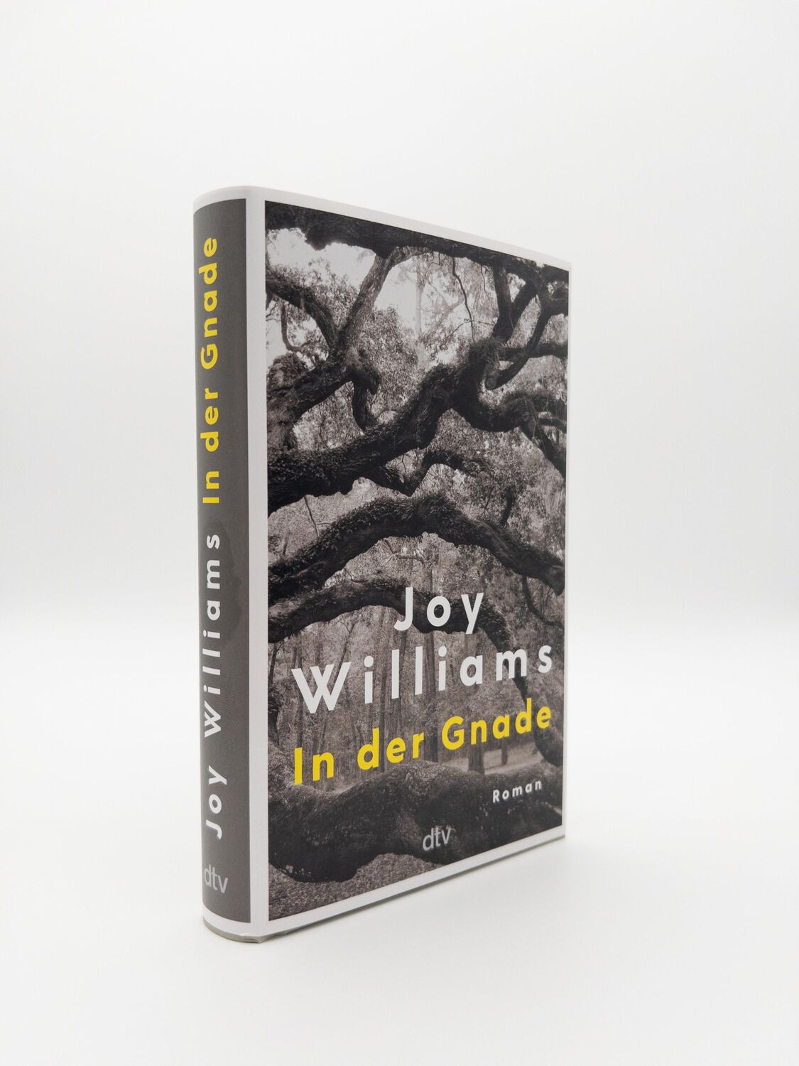 Bild: 9783423283991 | In der Gnade | Joy Williams | Buch | 336 S. | Deutsch | 2024