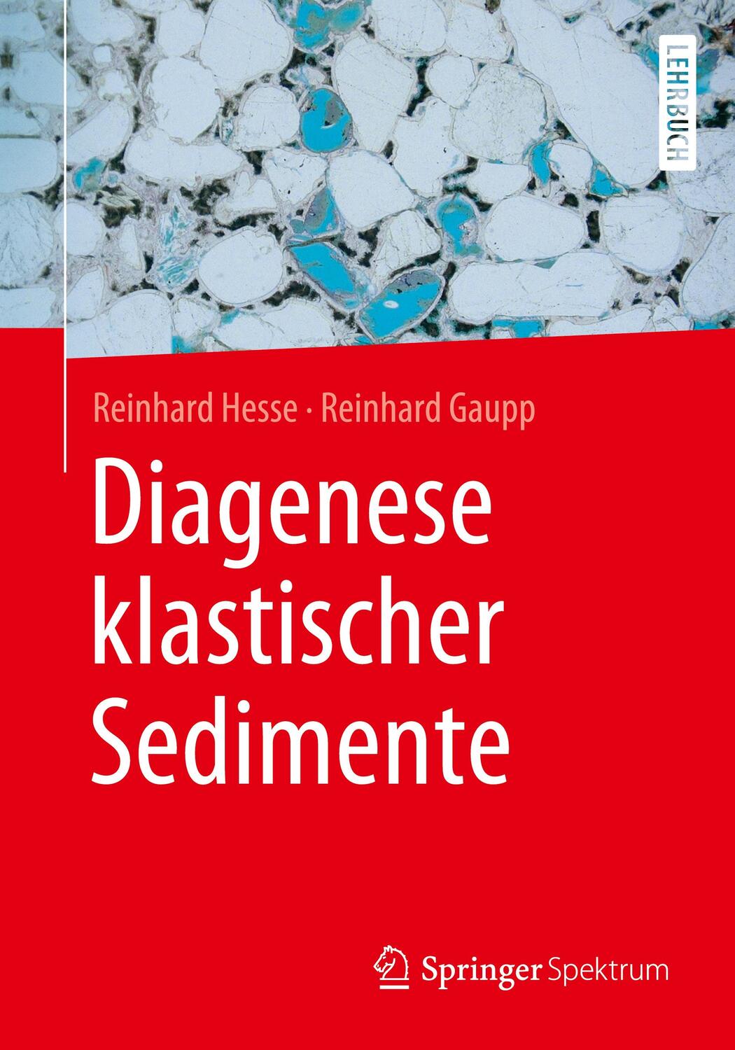 Cover: 9783662596845 | Diagenese klastischer Sedimente | Reinhard Gaupp (u. a.) | Taschenbuch