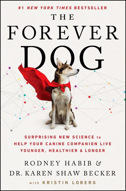 Cover: 9780063002609 | The Forever Dog | Rodney Habib (u. a.) | Buch | Gebunden | Englisch