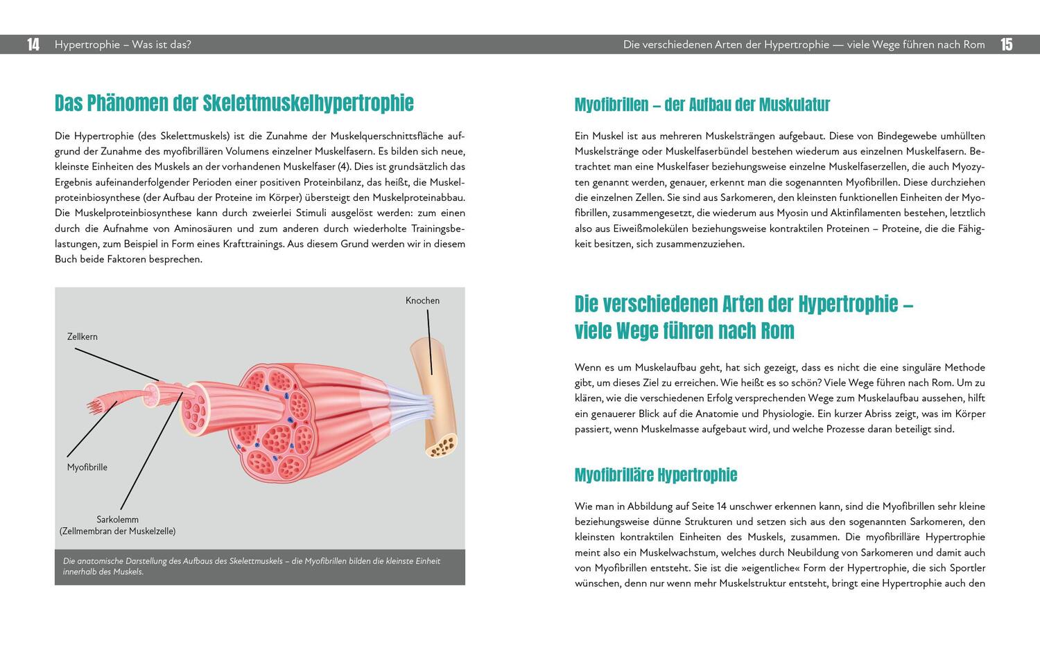Bild: 9783742320599 | Hypertrophietraining | Stephan Geisler (u. a.) | Taschenbuch | 272 S.