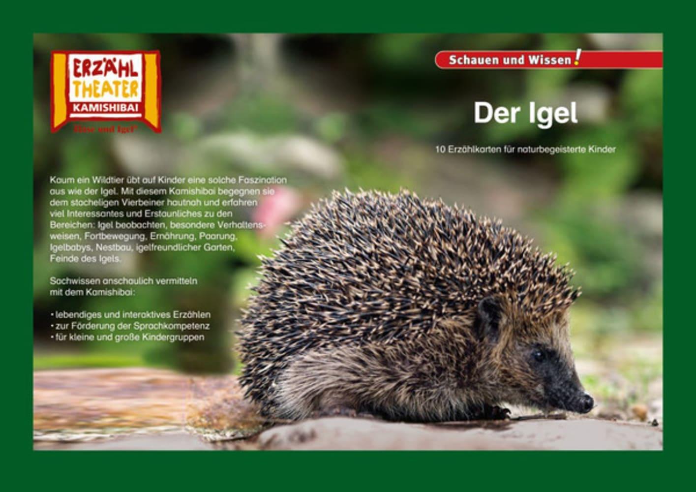 Cover: 4260505830243 | Kamishibai: Der Igel | 10 Fotobildkarten für das Erzähltheater | Box