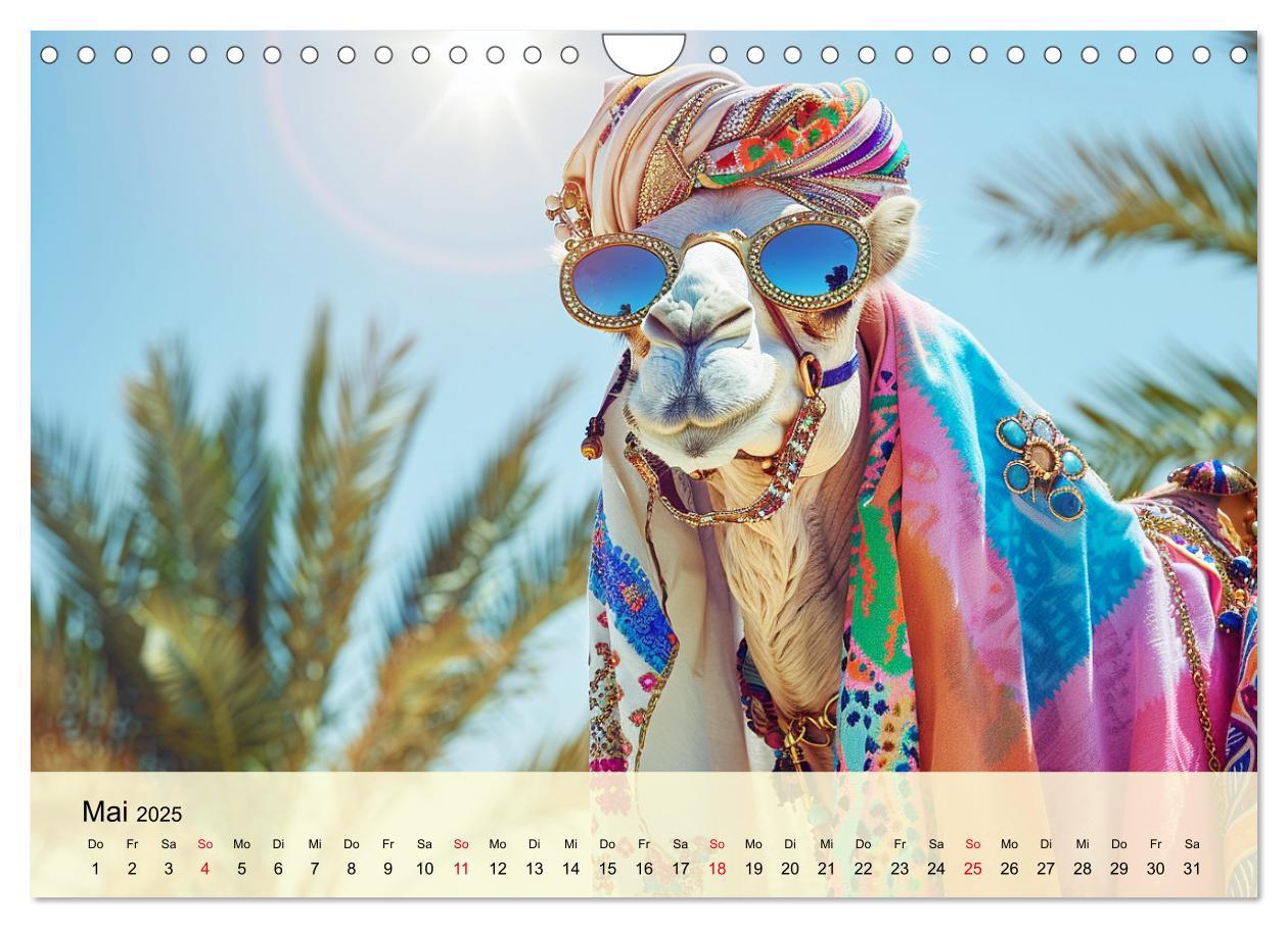 Bild: 9783435242306 | Modische Kamele in der Wüste. Extravagante Highlights (Wandkalender...