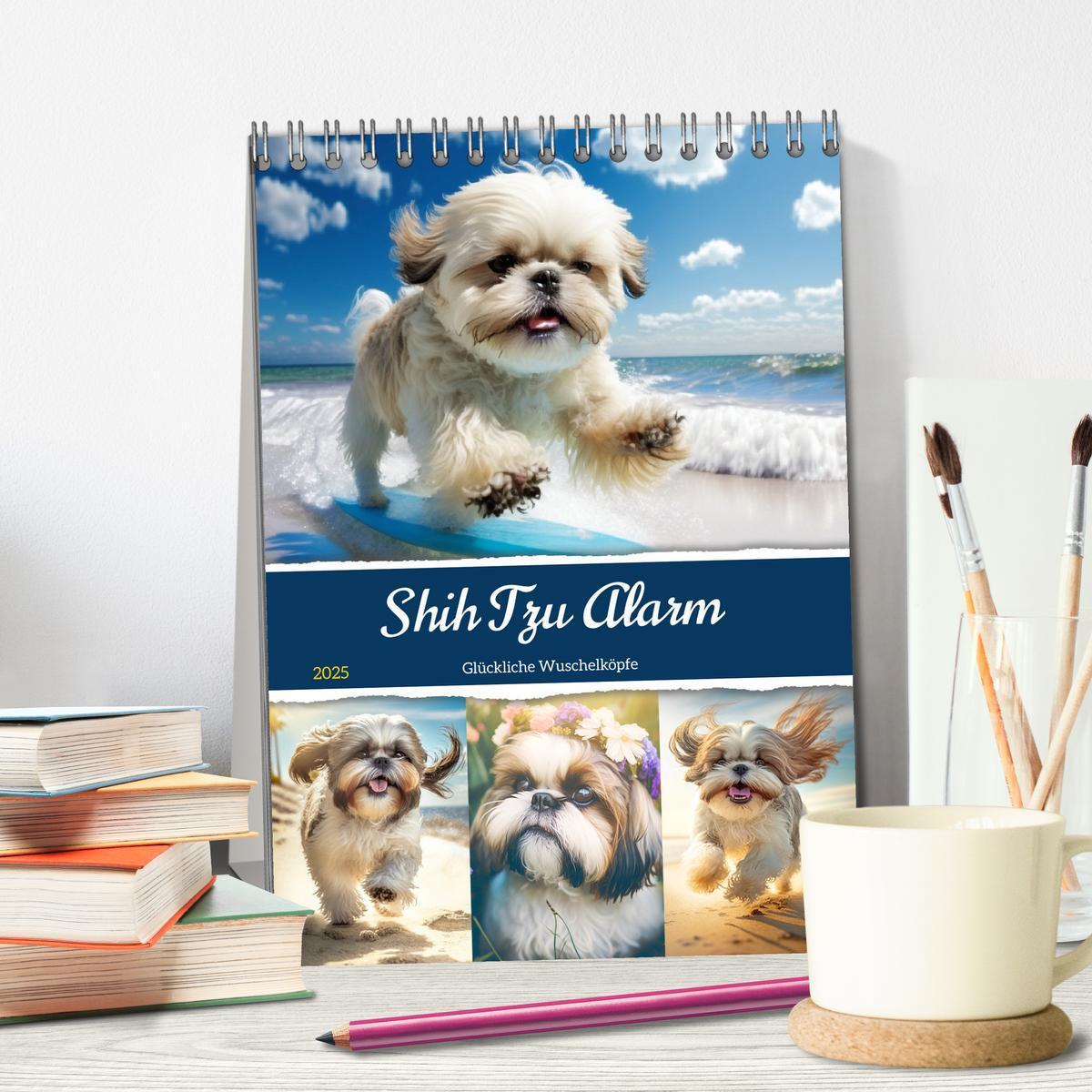 Bild: 9783435874514 | Shih Tzu Alarm. Glückliche Wuschelköpfe (Tischkalender 2025 DIN A5...