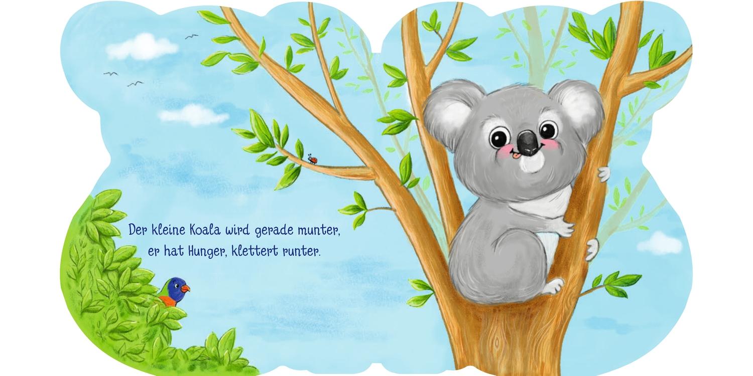 Bild: 9783751200219 | Meine Tierfreunde. Hallo, kleiner Koala! | Hallo, kleiner Koala!