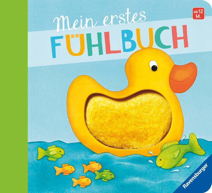 Cover: 9783473432936 | Mein erstes Fühlbuch | Sandra Grimm | Taschenbuch | 10 S. | Deutsch
