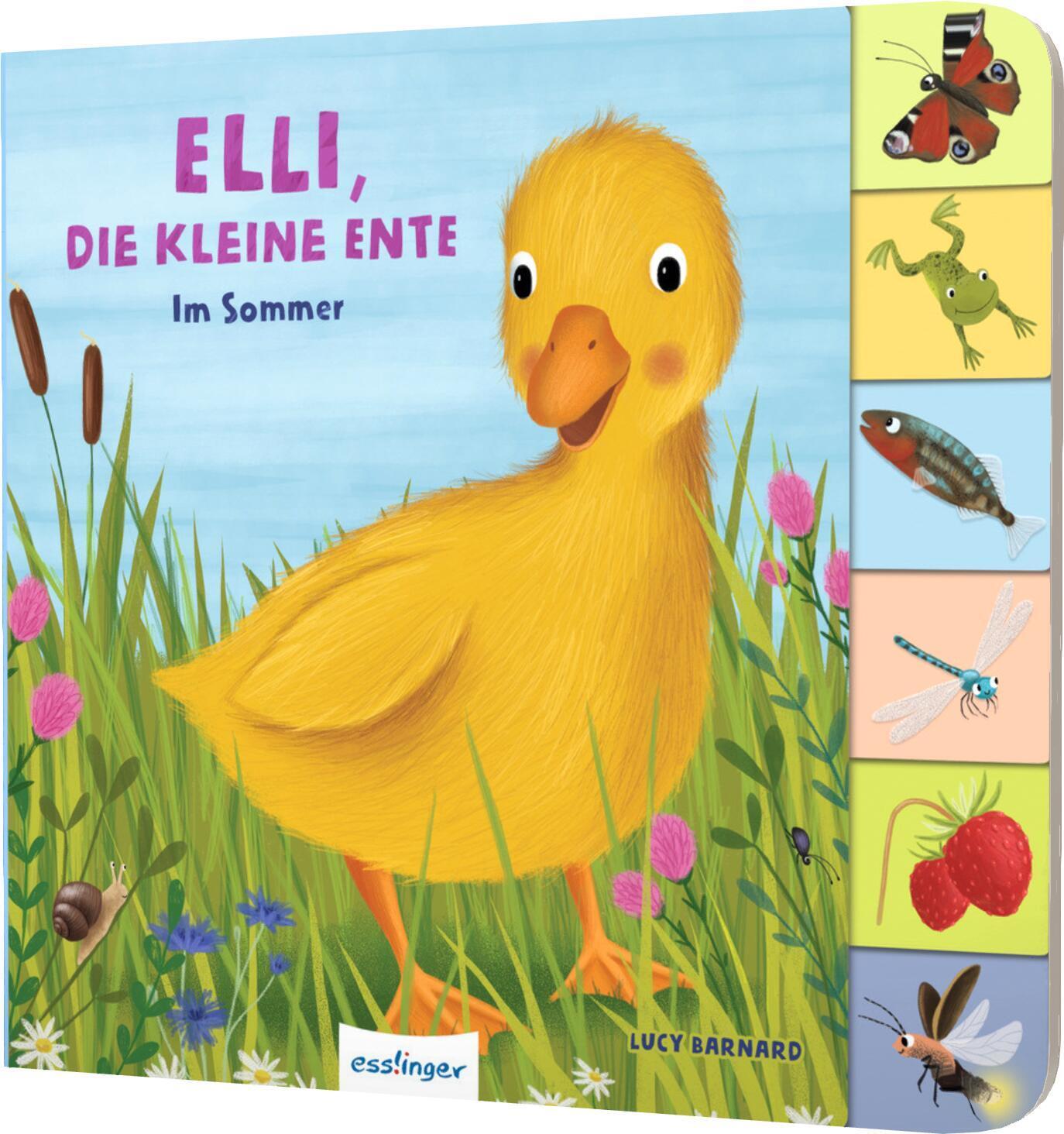Cover: 9783480238194 | Mein erstes Jahreszeitenbuch: Elli, die kleine Ente | Anja Kiel | Buch