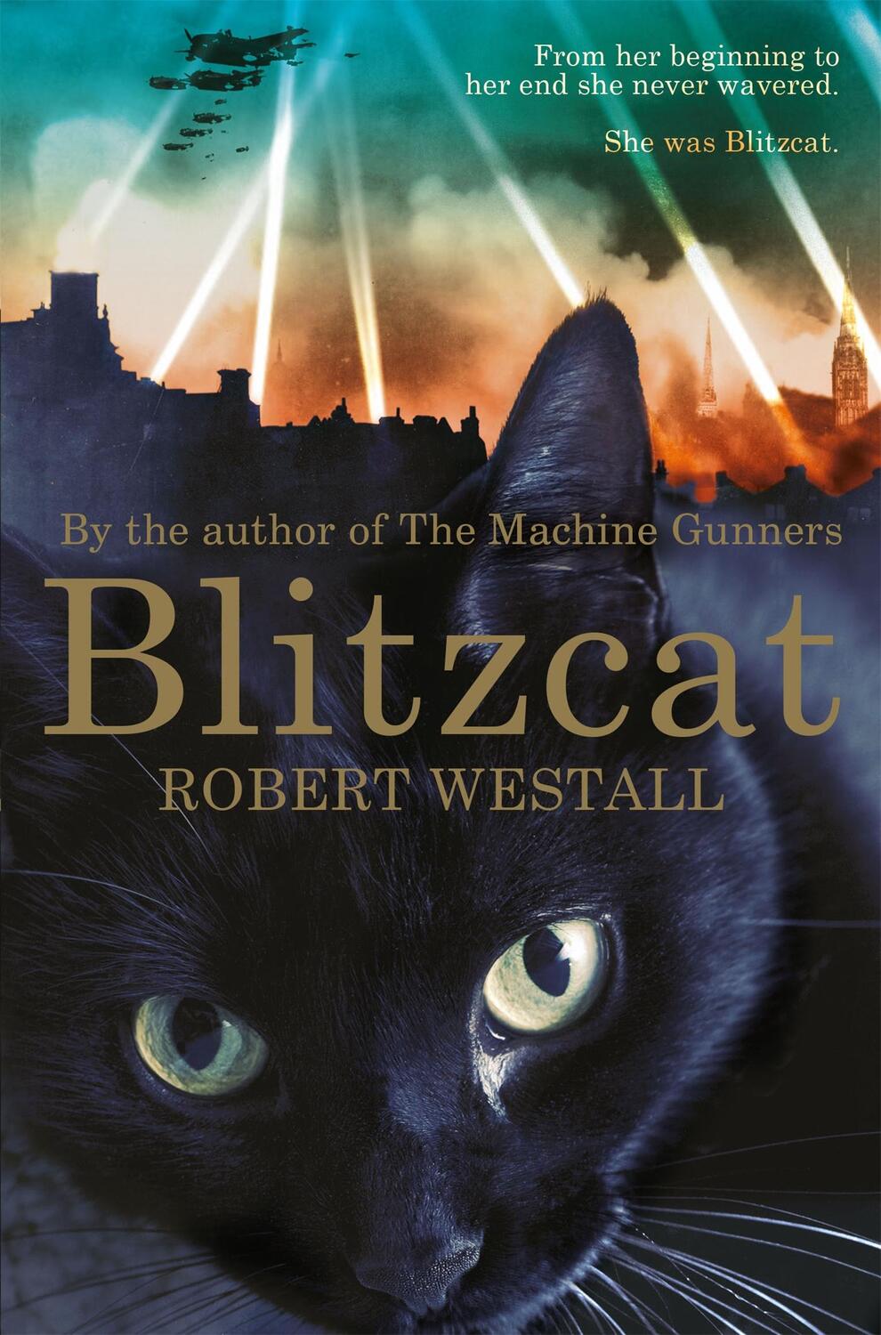 Cover: 9781447284604 | Blitzcat | Robert Westall | Taschenbuch | Englisch | 2015