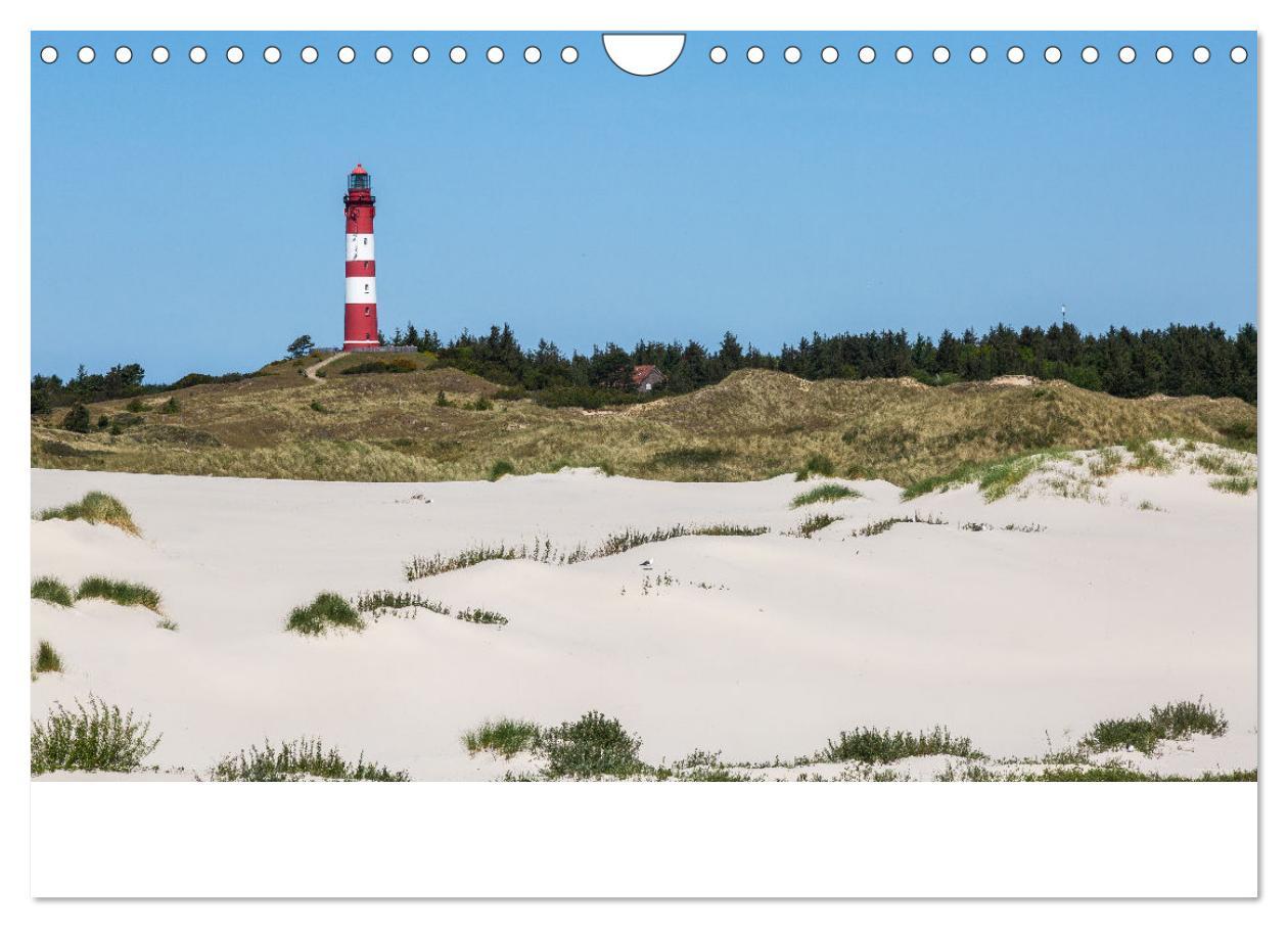 Bild: 9783383861031 | Amrum - Das Paradies in der Nordsee (Wandkalender 2025 DIN A4...