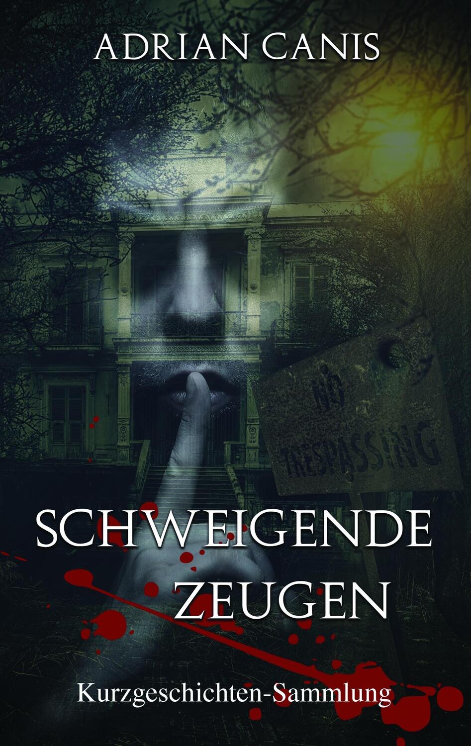 Cover: 9783741224249 | Schweigende Zeugen | Kurzgeschichten-Sammlung | Adrian Canis | Buch