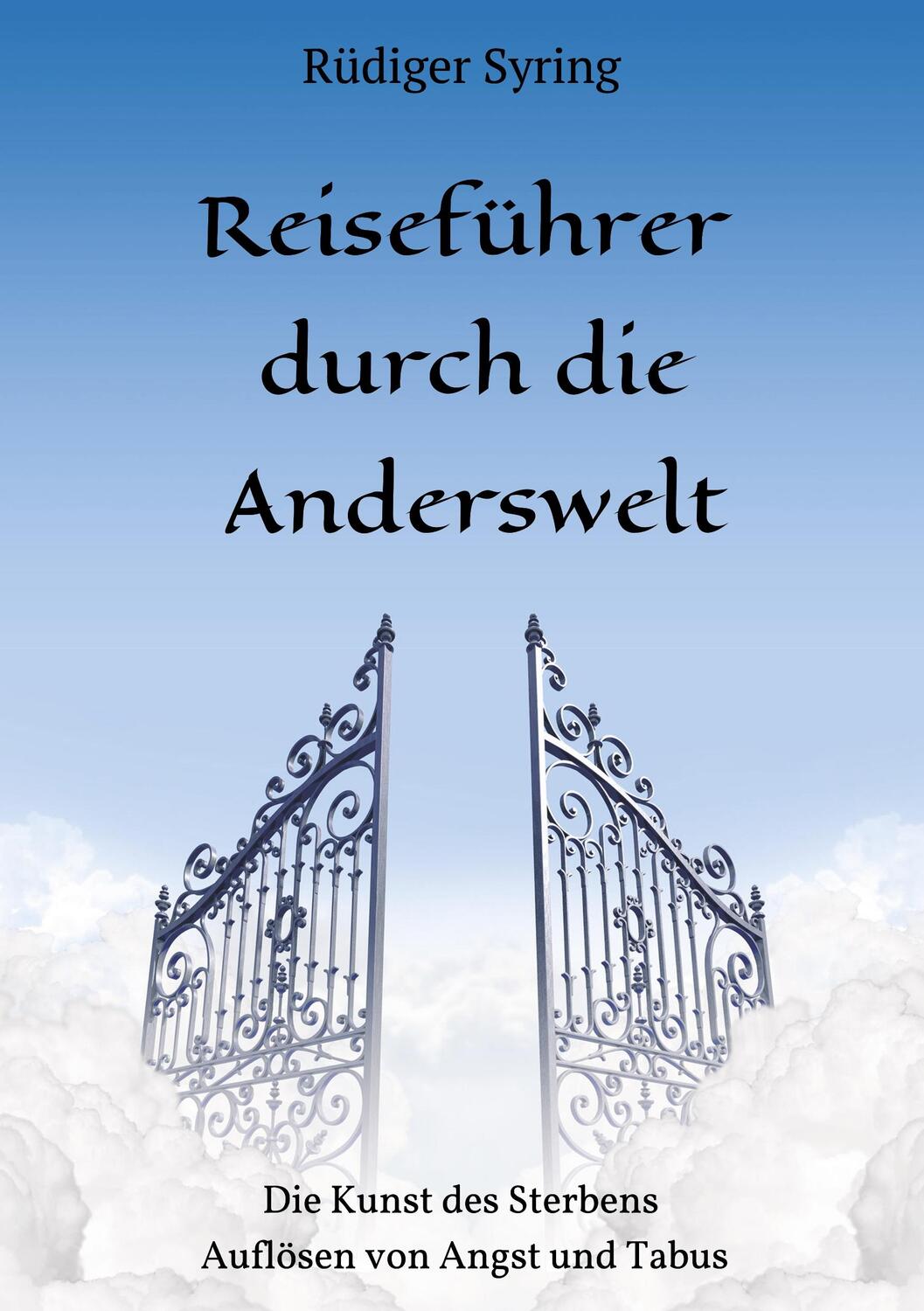 Cover: 9783748237167 | Reiseführer durch die Anderswelt | Rüdiger Syring | Taschenbuch