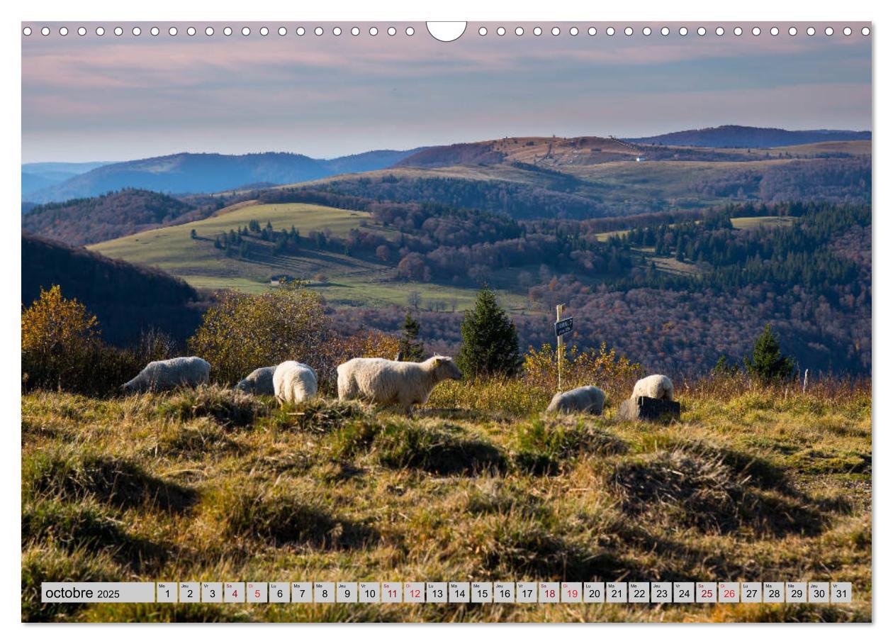 Bild: 9781325937813 | Splendeurs des Vosges (Calendrier mural 2025 DIN A3 vertical),...