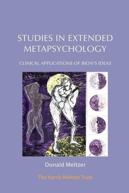 Cover: 9781912567157 | Studies in Extended Metapsychology | Donald Meltzer | Taschenbuch