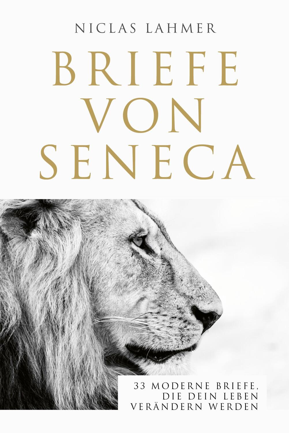 Cover: 9783959727129 | Briefe von Seneca | 33 moderne Briefe, die dein Leben verändern werden