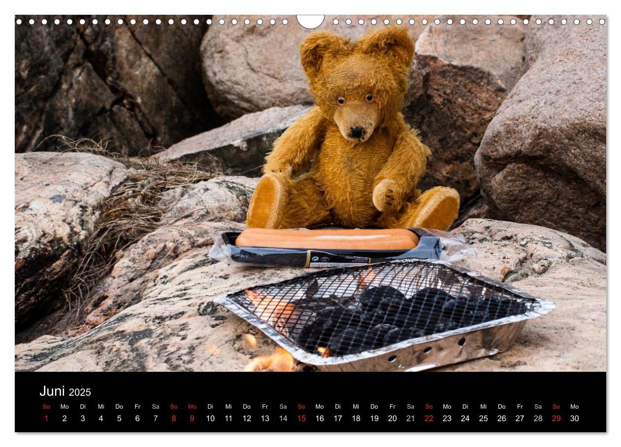 Bild: 9783435674084 | Teddy Basse, Fortsetzung... (Wandkalender 2025 DIN A3 quer),...