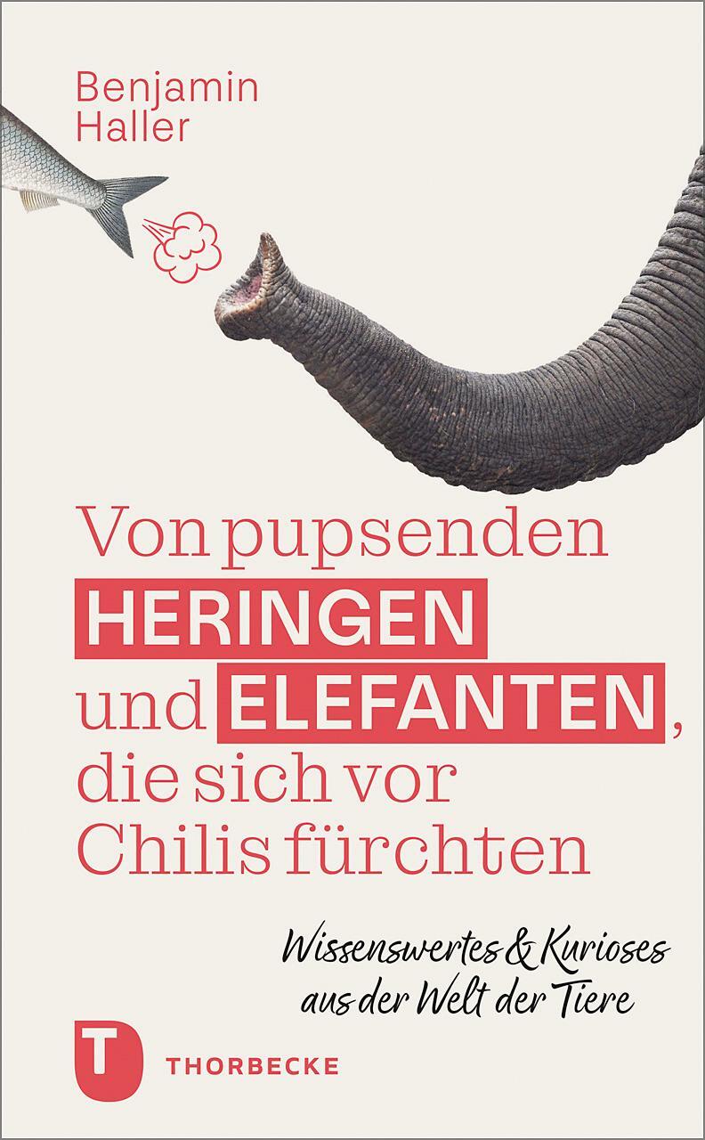 Cover: 9783799515979 | Von pupsenden Heringen und Elefanten, die sich vor Chilis fürchten