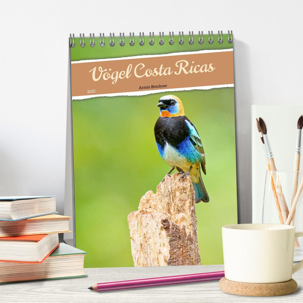 Bild: 9783383829444 | Vögel Costa Ricas (Tischkalender 2025 DIN A5 hoch), CALVENDO...