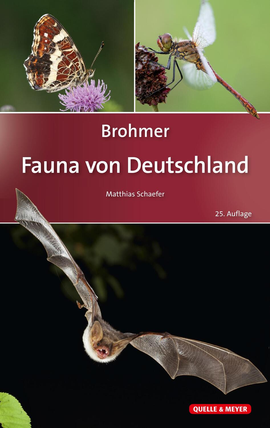 Cover: 9783494017600 | Brohmer - Fauna von Deutschland | Matthias Schaefer | Buch | Deutsch