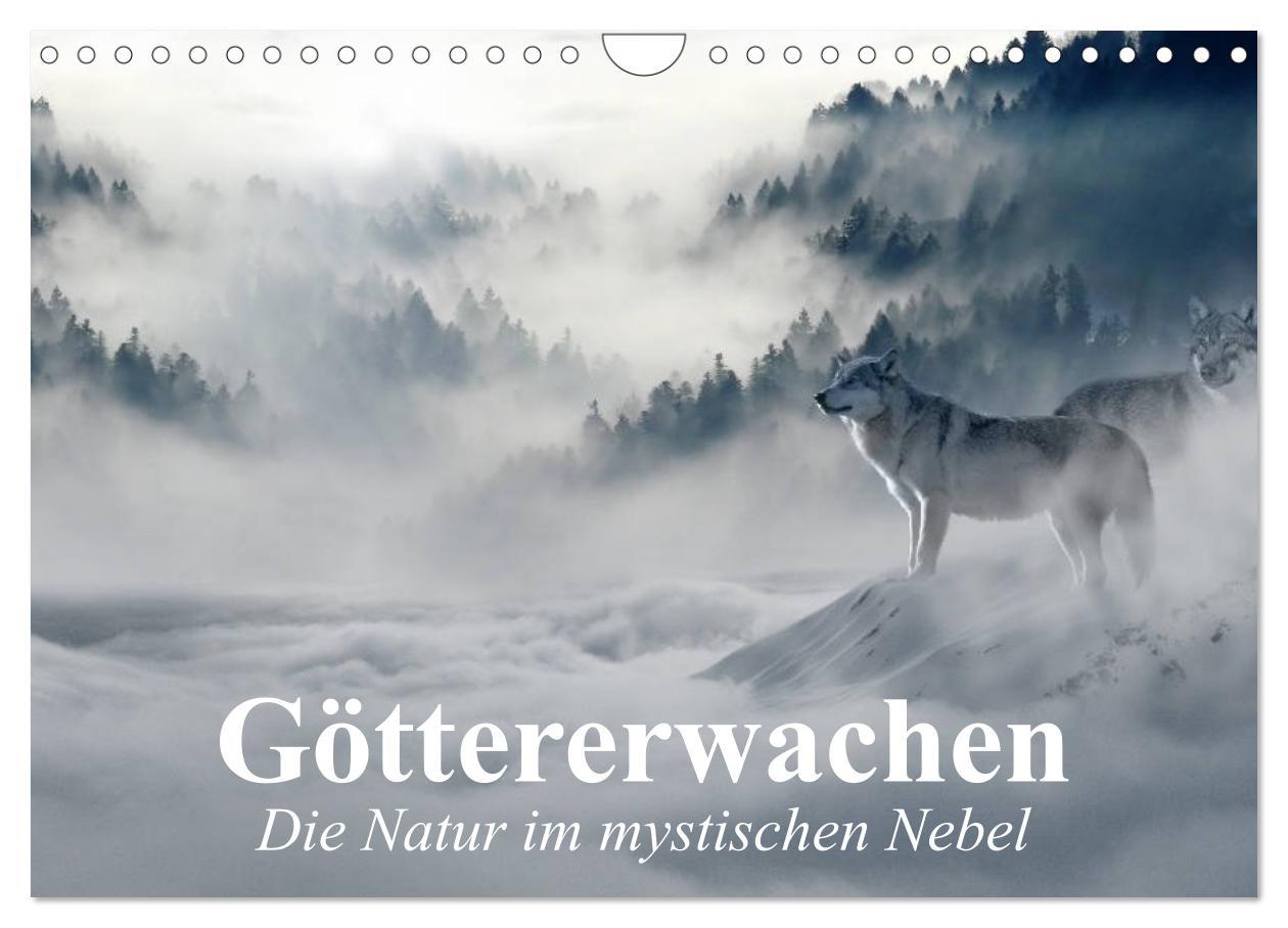 Cover: 9783435444281 | Göttererwachen. Die Natur im mystischen Nebel (Wandkalender 2025...