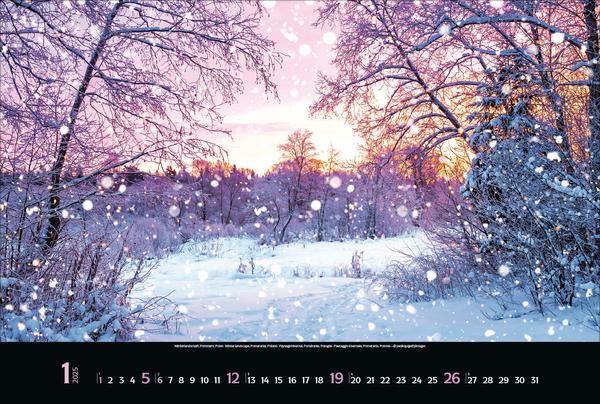 Bild: 9783731875994 | Colourful Seasons 2025 | Verlag Korsch | Kalender | 14 S. | Deutsch