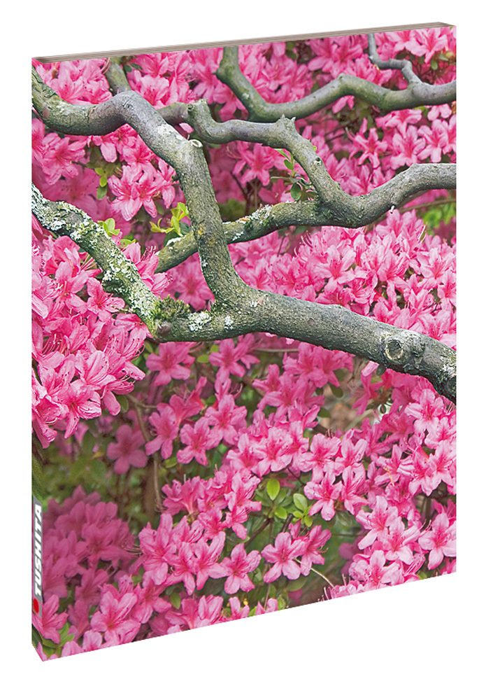 Cover: 9783863233310 | Notizbuch Zen Flowers | Buch | 140 S. | Deutsch | 2015