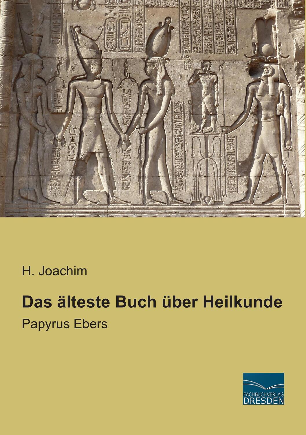 Cover: 9783956925115 | Das älteste Buch über Heilkunde | Papyrus Ebers | H. Joachim | Buch