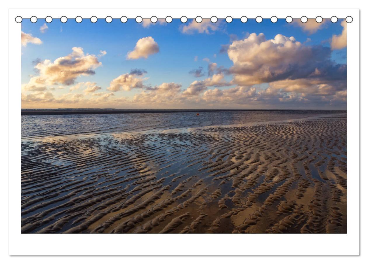 Bild: 9783435803002 | Impressionen der Nordseeinsel Amrum (Tischkalender 2025 DIN A5...