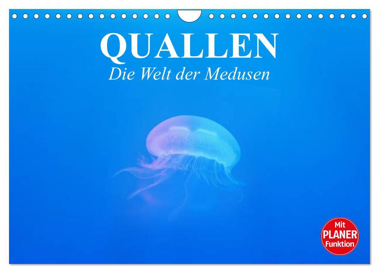 Cover: 9783383314872 | Quallen. Die Welt der Medusen (Wandkalender 2024 DIN A4 quer),...
