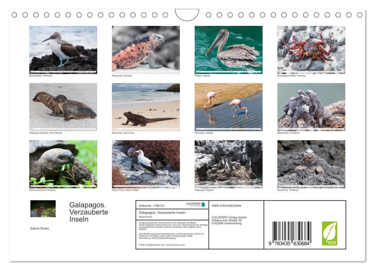 Bild: 9783435630684 | Galapagos. Verzauberte Inseln (Wandkalender 2025 DIN A4 quer),...