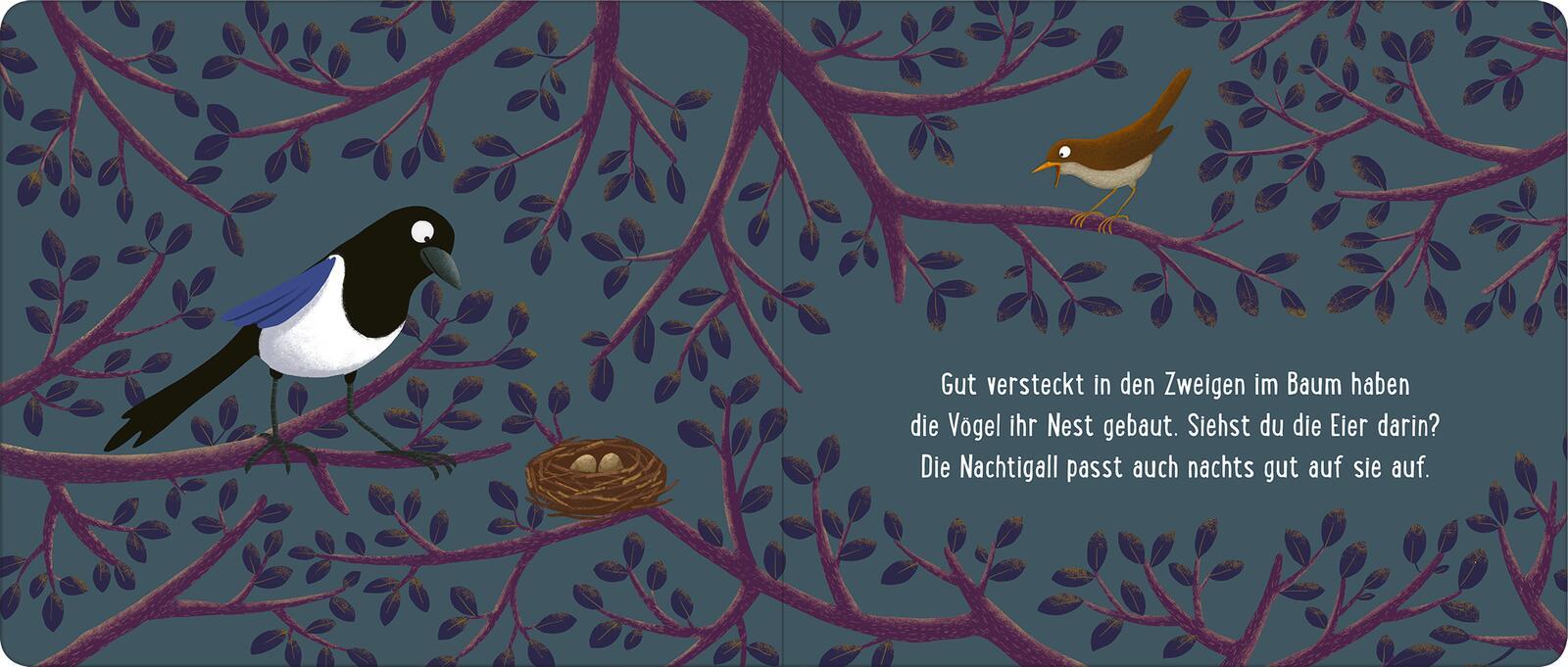 Bild: 9783845866062 | Gute Nacht im Wald | Wo die Tiere schlafen | Emilia Dziubak | Buch