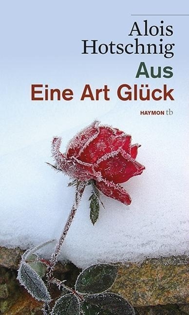 Cover: 9783852189352 | Aus - Eine Art Glück | Haymon-Taschenbuch 135, HAYMON TASCHENBUCH 135