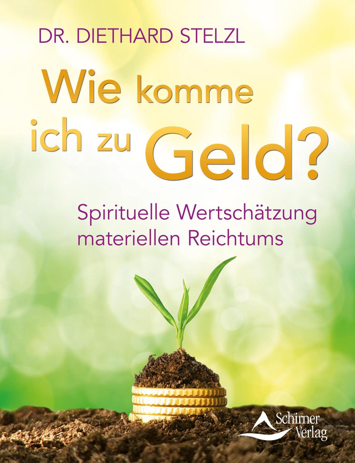 Cover: 9783843412049 | Wie komme ich zu Geld? | Diethard Stelzl | Taschenbuch | Deutsch