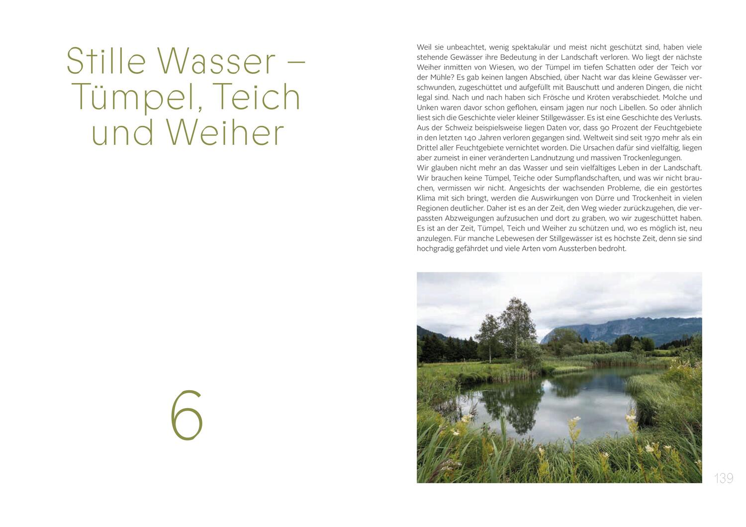 Bild: 9783702511227 | Die Gaben des Wassers | Karin Hochegger | Buch | 256 S. | Deutsch