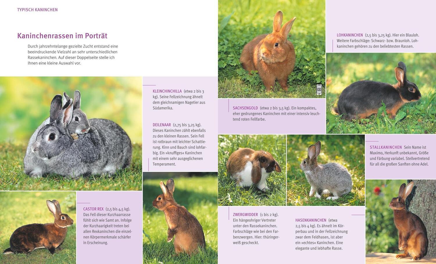 Bild: 9783833836404 | Kaninchen im Außengehege | Pures Frischluft-Vergnügen | Monika Wegler